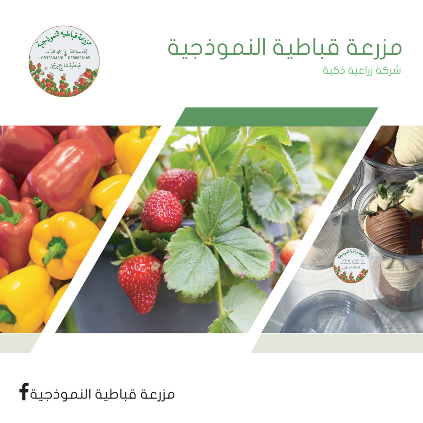 مزرعة قباطية النموذجية